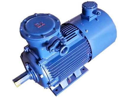 Frequency conversion explosion-proof motor
